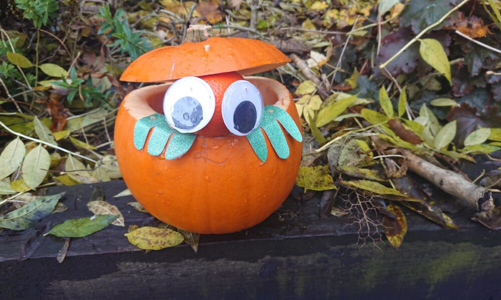 Bert Pumpkin 241020