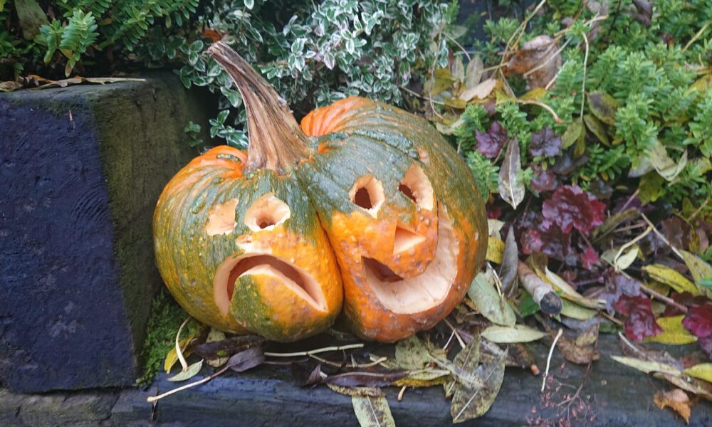 Sad and Happy Pumpkin 241020
