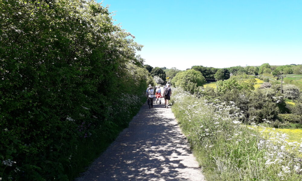 High Peak Trail near Middleton